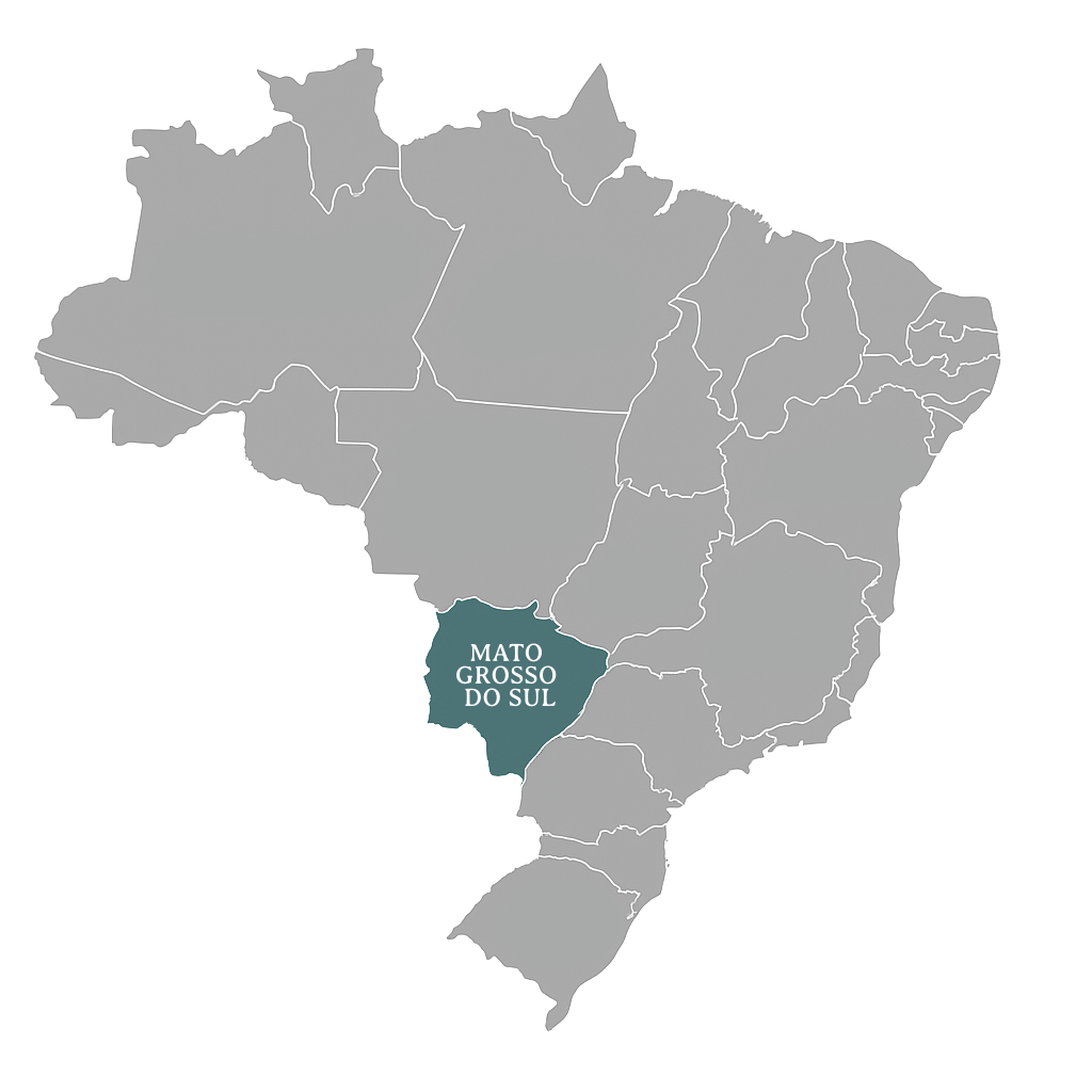 Mapa do Brasil com fundo transparente