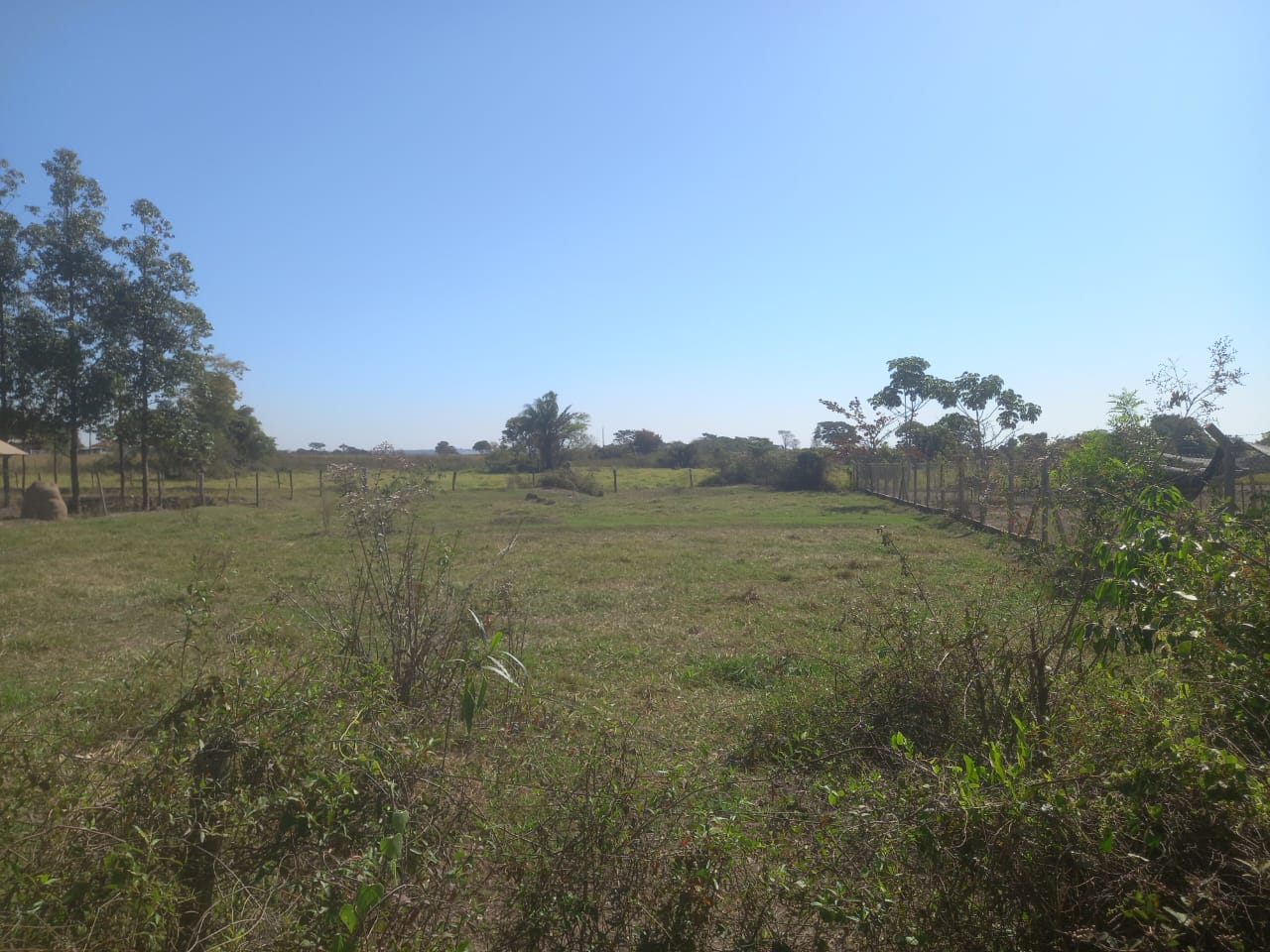 Terreno Próximo ao Rio Paraná - Vista 1