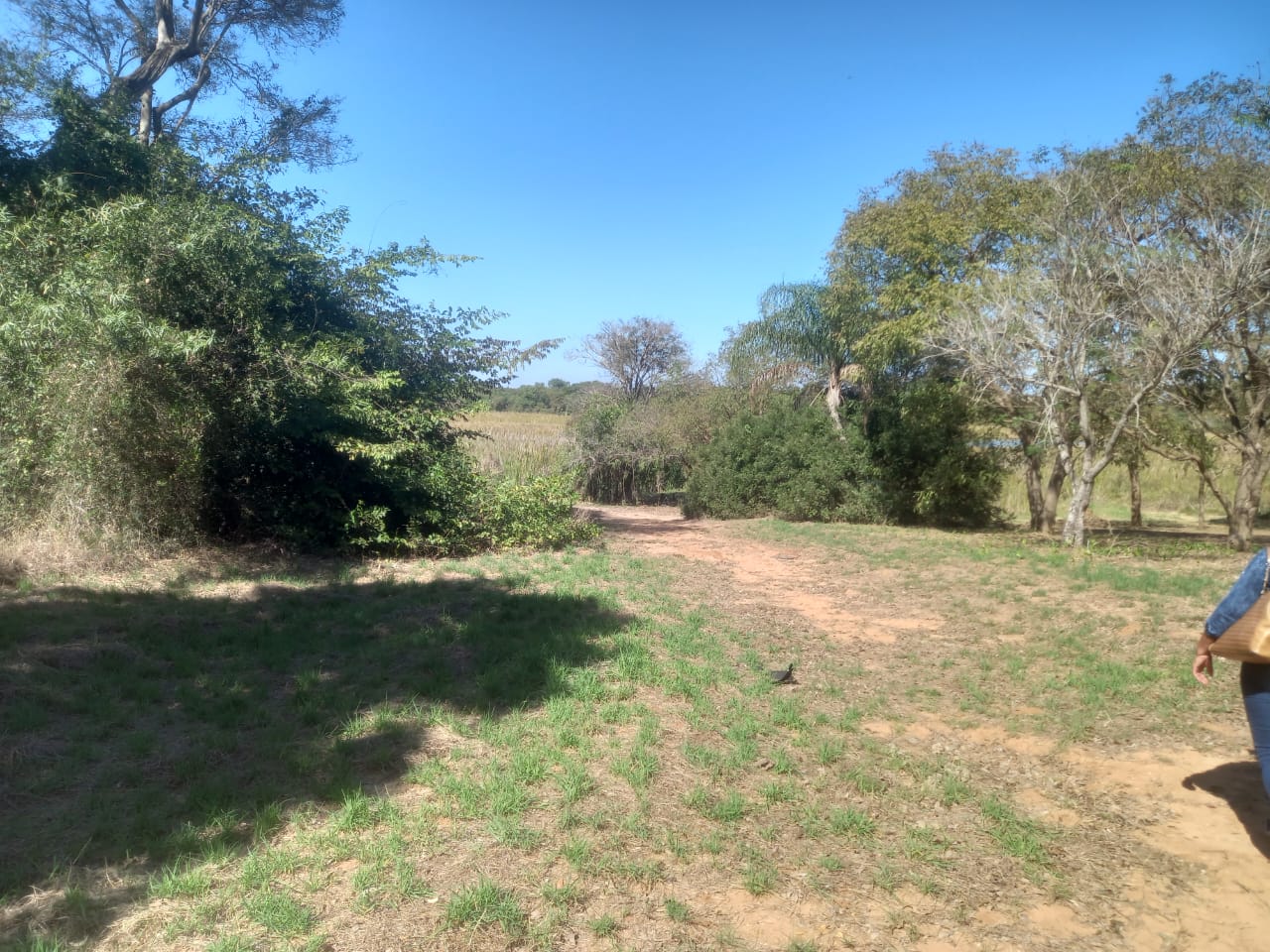 Terreno Próximo ao Rio Paraná - Vista 2