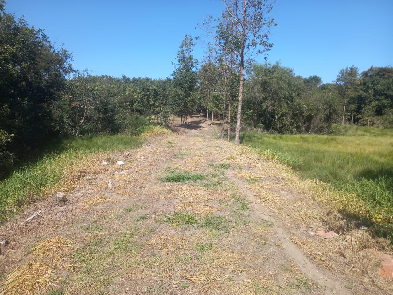 Terreno Próximo ao Rio Paraná - Vista 3