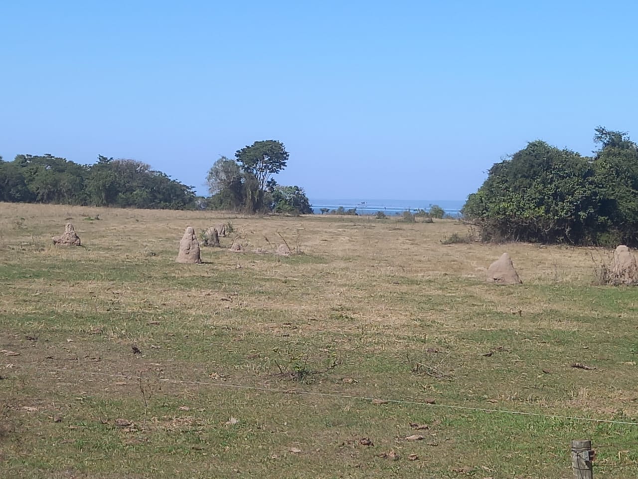 Terreno Próximo ao Rio Paraná - Vista 4