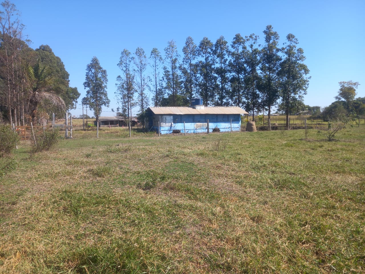 Terreno Próximo ao Rio Paraná - Vista 5