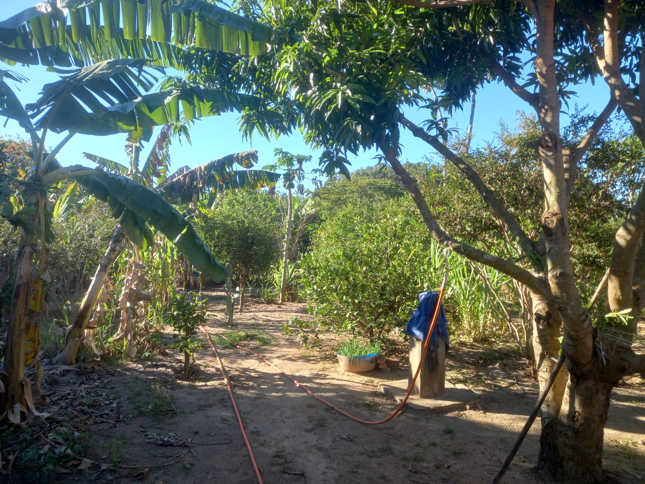 Casa com Pomar - Vista 10